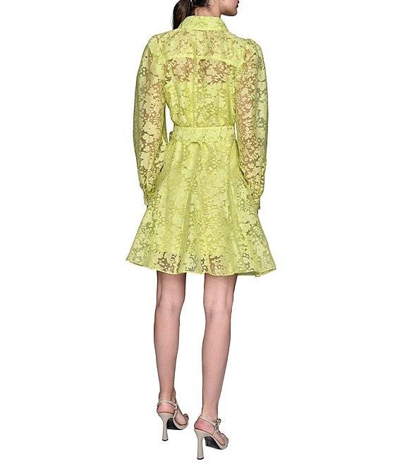 KARL LAGERFELD PARIS Organza Burnout Long Sleeve Floral Shirt Dress Product Image