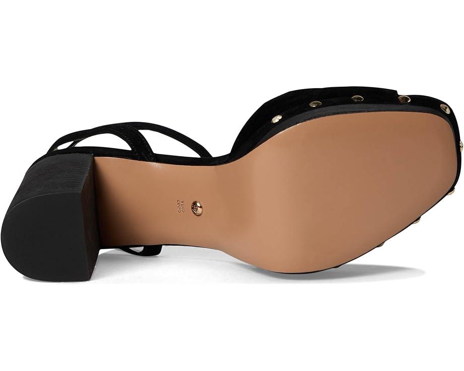 Anesa 2 Sandals Product Image