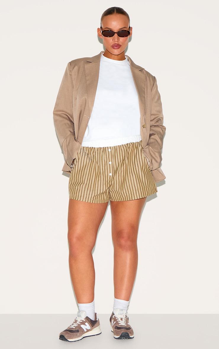 Plus Chocolate Pinstripe Cotton Poplin Contrast Waistband Short Product Image