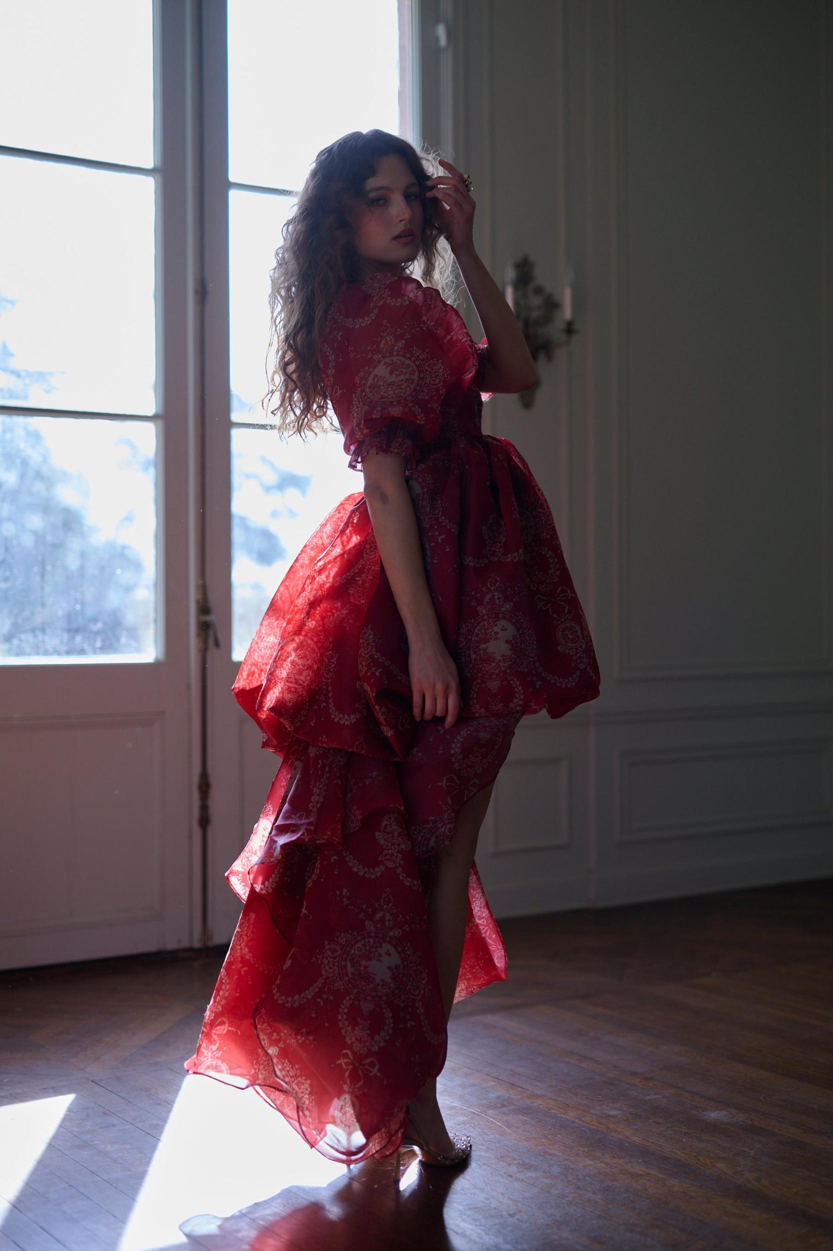 The Ornament Fairytale Gown Product Image