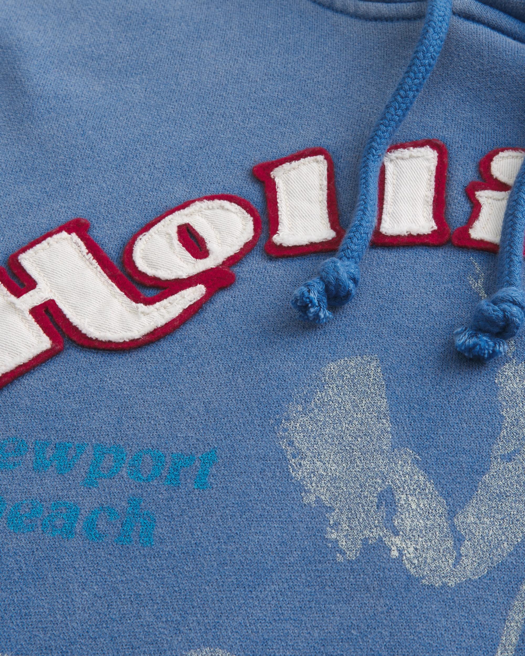 Waffle-Lined Hollister Surfboards Graphic Hoodie Product Image