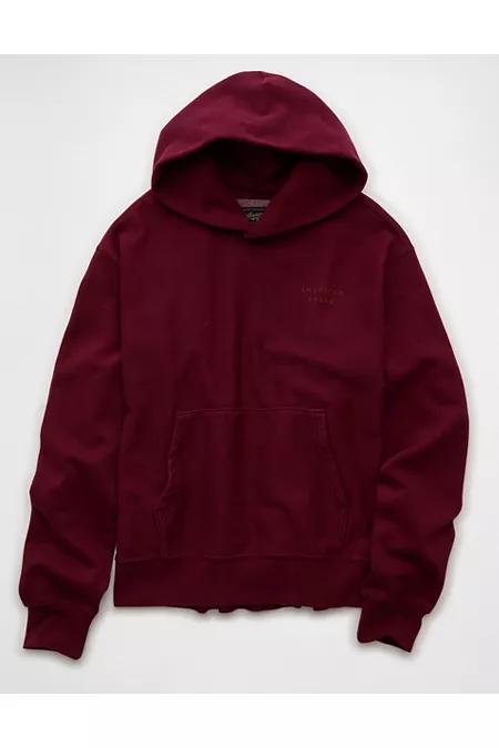 AE Laidback Luxe Heavyweight Graphic Hoodie Men's Product Image