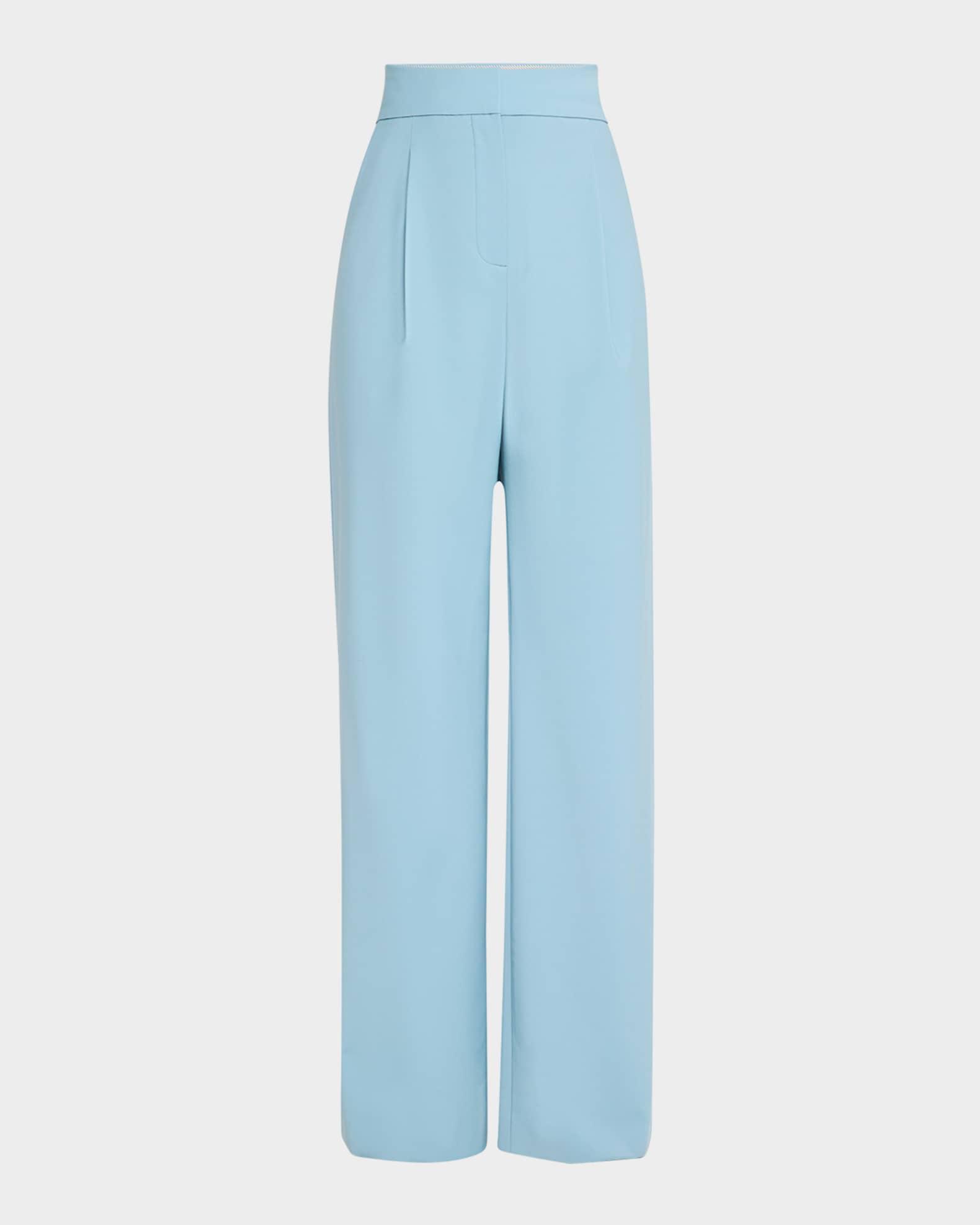 Robinne Pleated Straight-Leg Pants Product Image