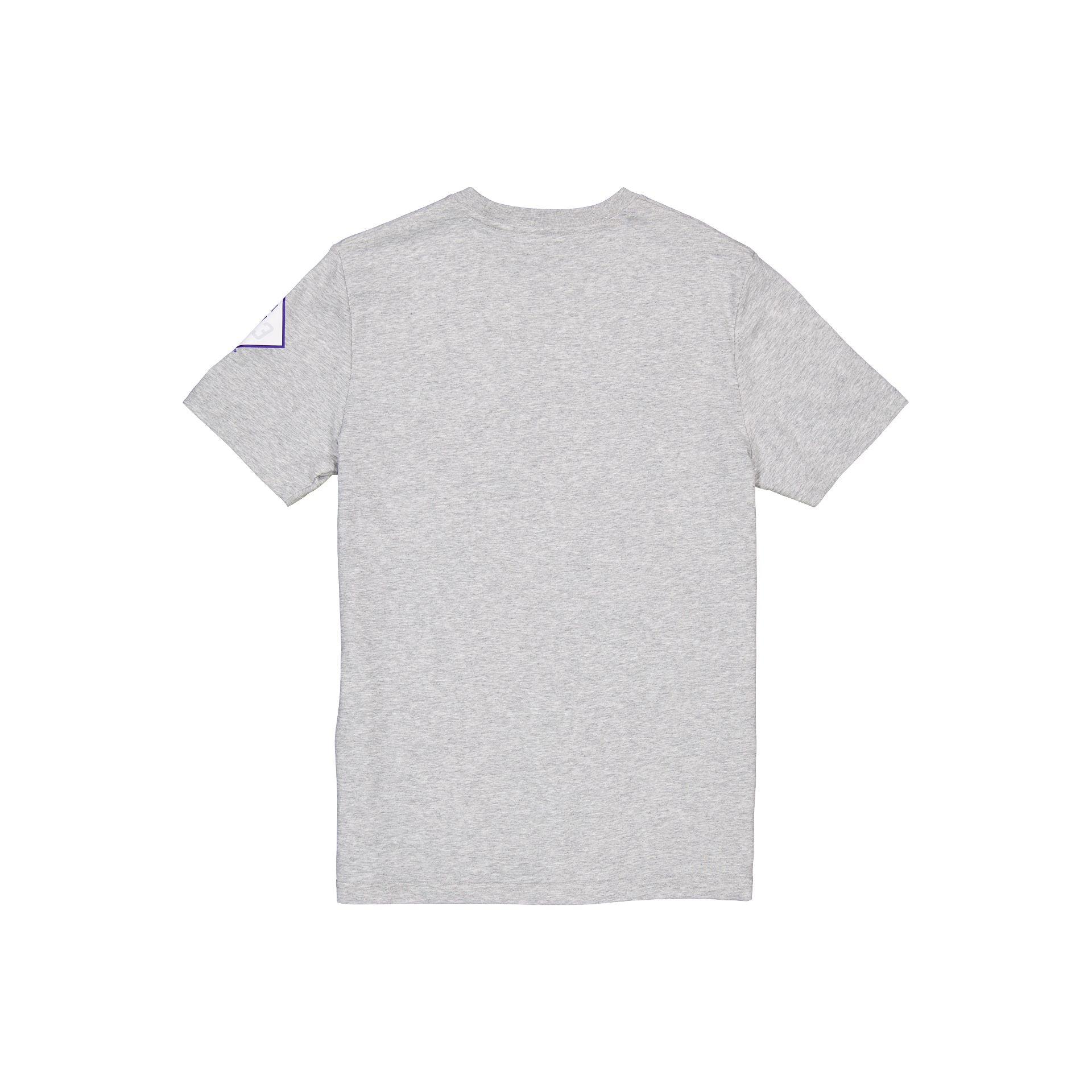 Detroit Tigers City Connect Gray T-Shirt Male Product Image