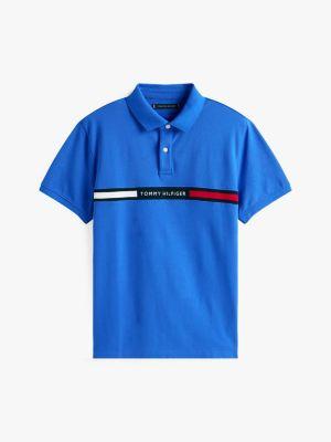 Regular Fit Embroidered Stripe Polo Product Image