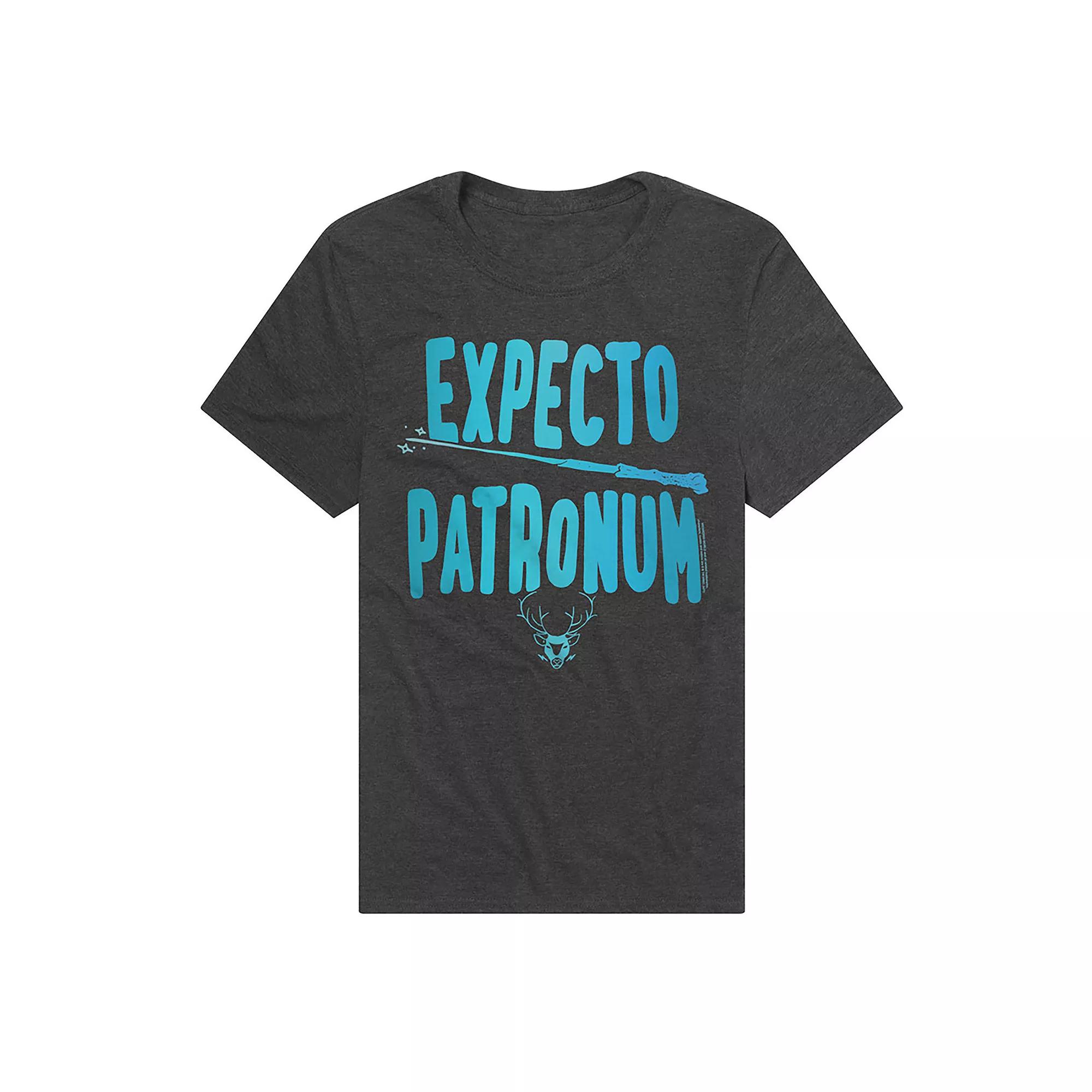 Men's Harry Potter Expecto Patronum Graphic Tee, Size: XL, Grey Product Image