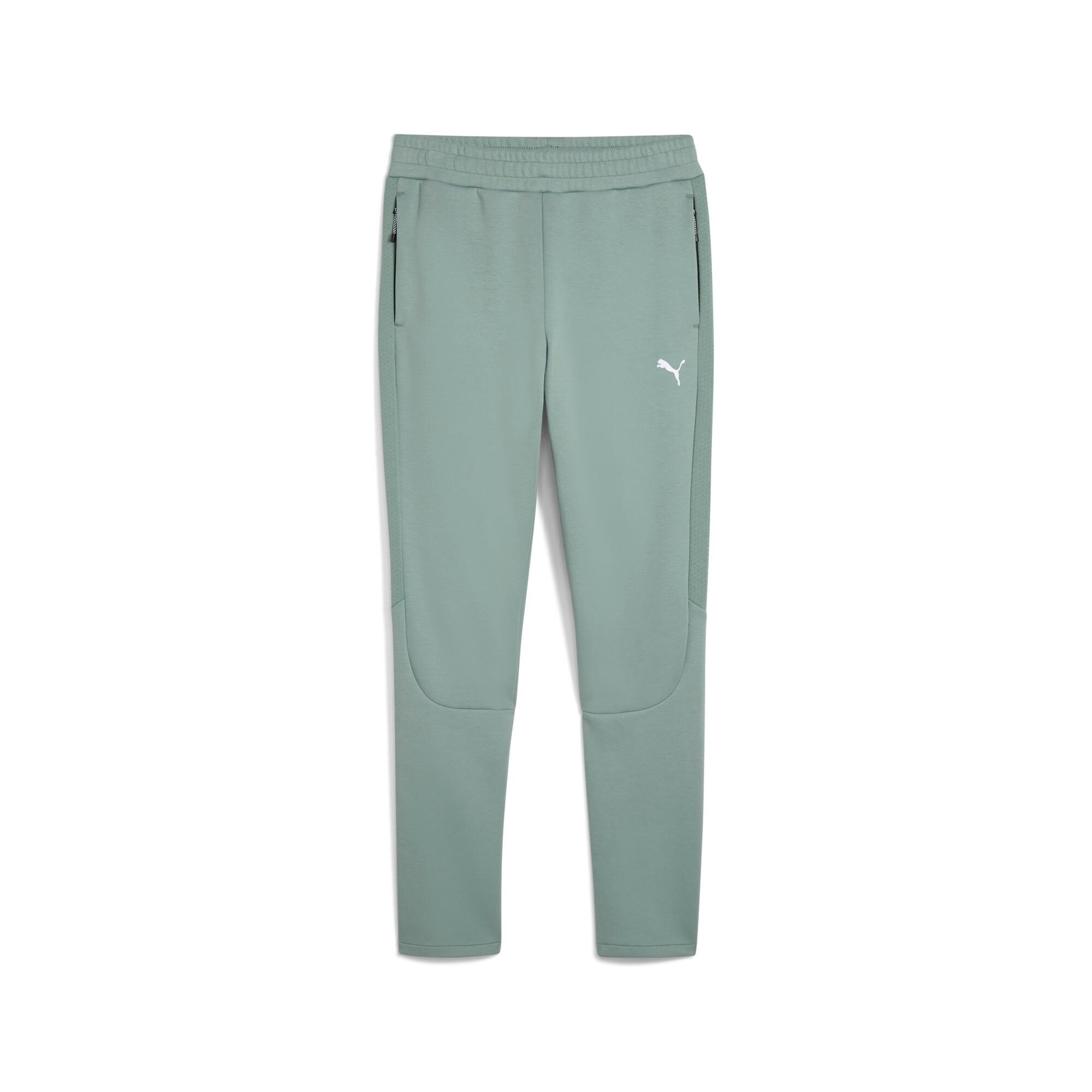 Evostripe Men's Pants Product Image