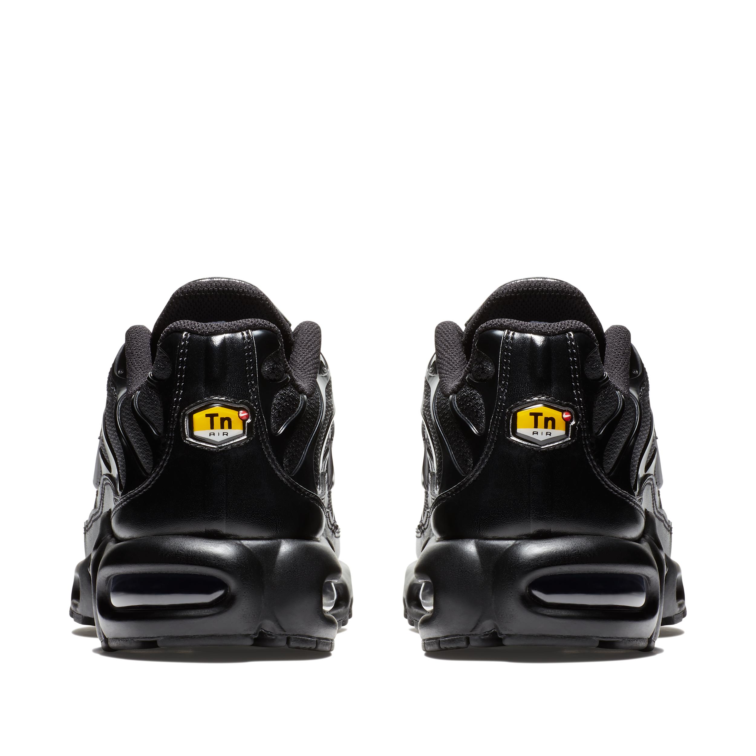 Nike Mens Air Max Plus Shoes | 604133-050 Product Image