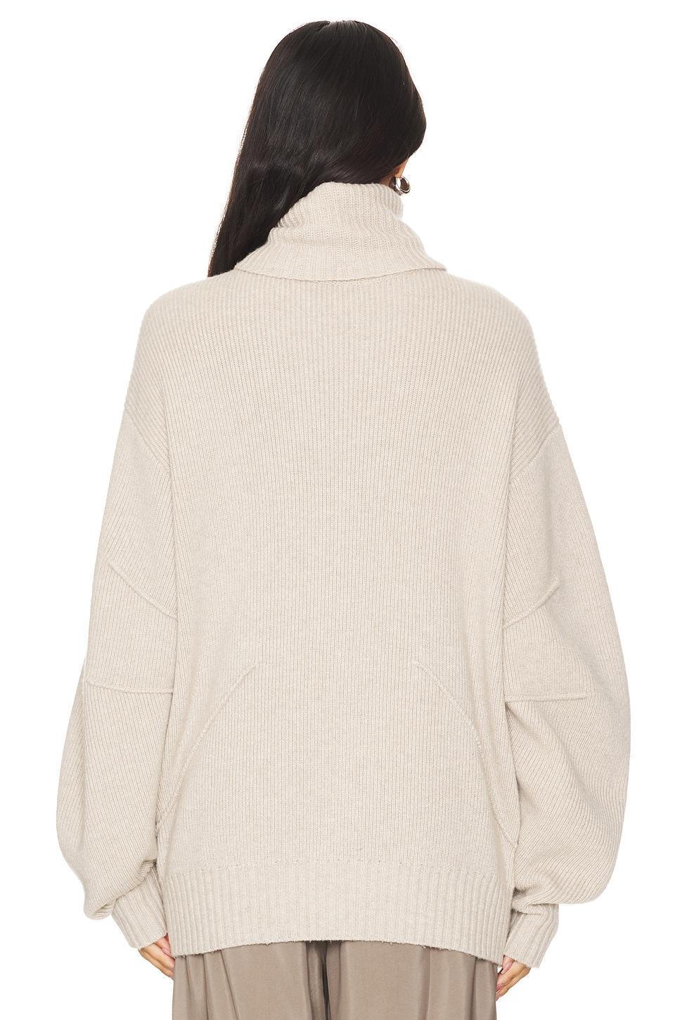 Apex Chunky Turtleneck Helmut Lang Product Image