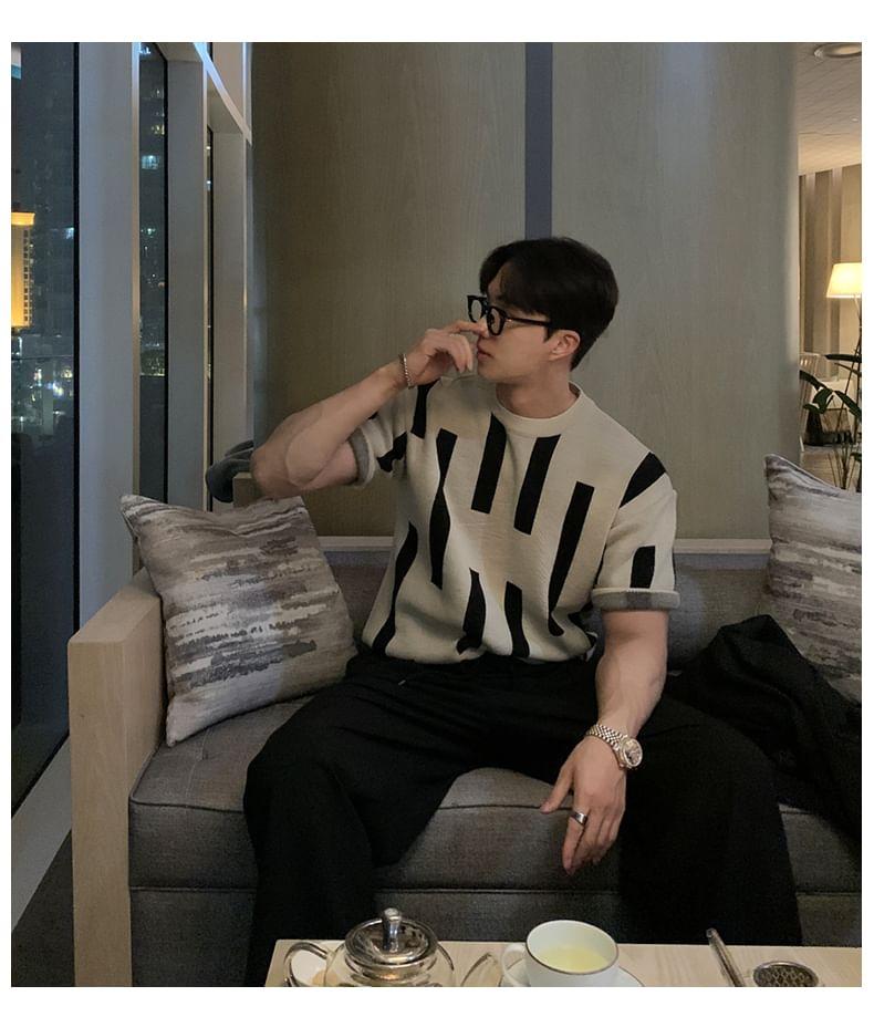 Short-Sleeve Crewneck Two Tone Knit Top Product Image