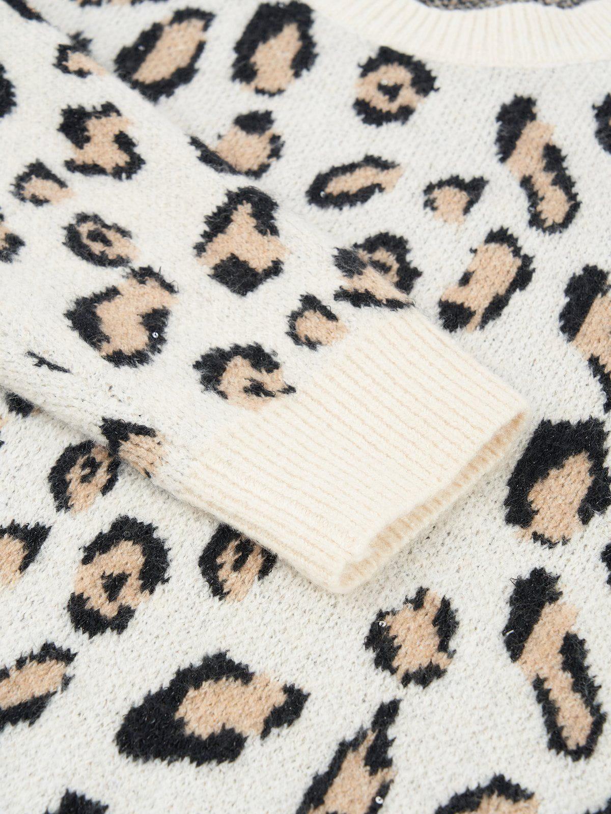 Aelfric Eden Leopard Graphic Sweater Product Image