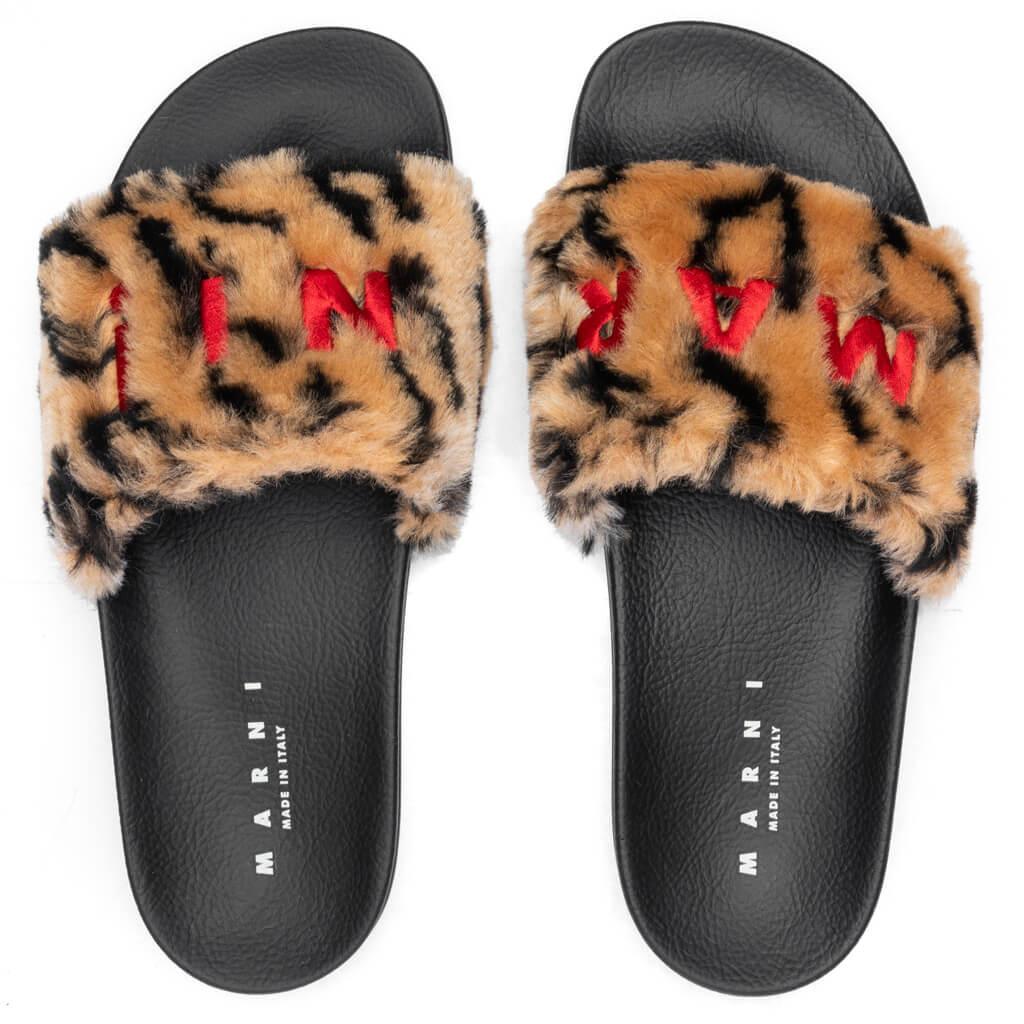 Sandal - Leopard Male Product Image