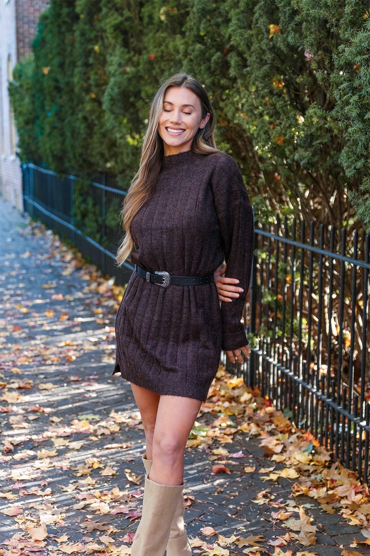Brown Mock Neck Sweater Dress - FINAL SALE Product Image
