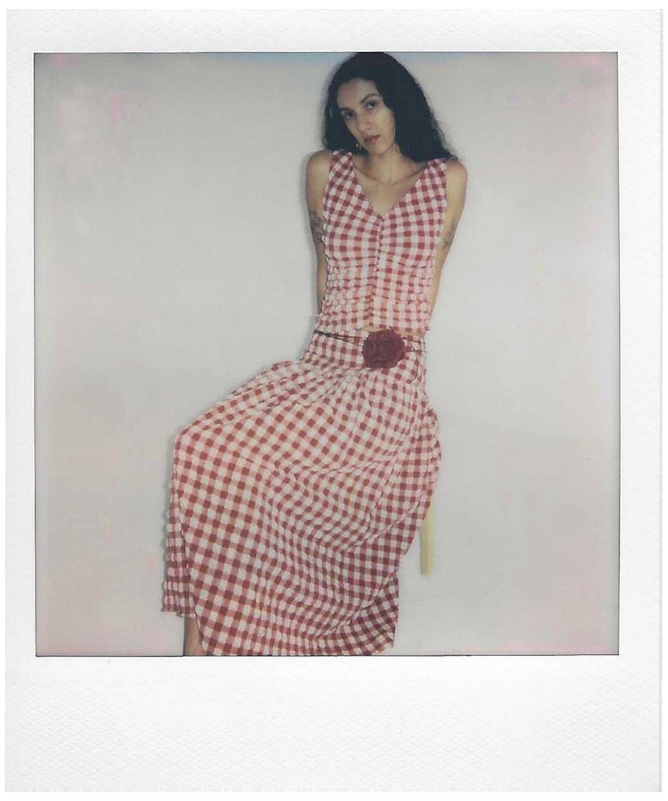 Isabella Top - Lipstick Check Product Image