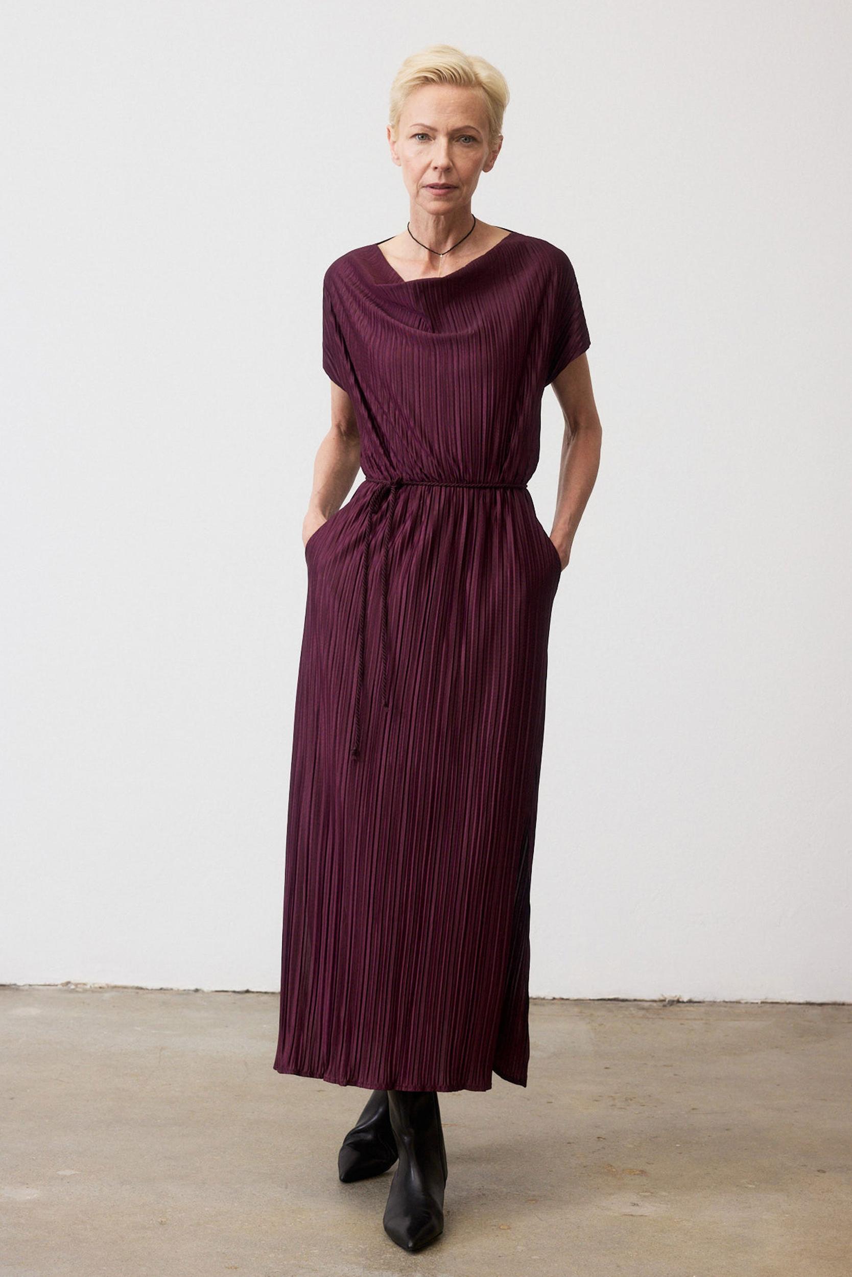 Draped Pleated Maxi Dress Product Image