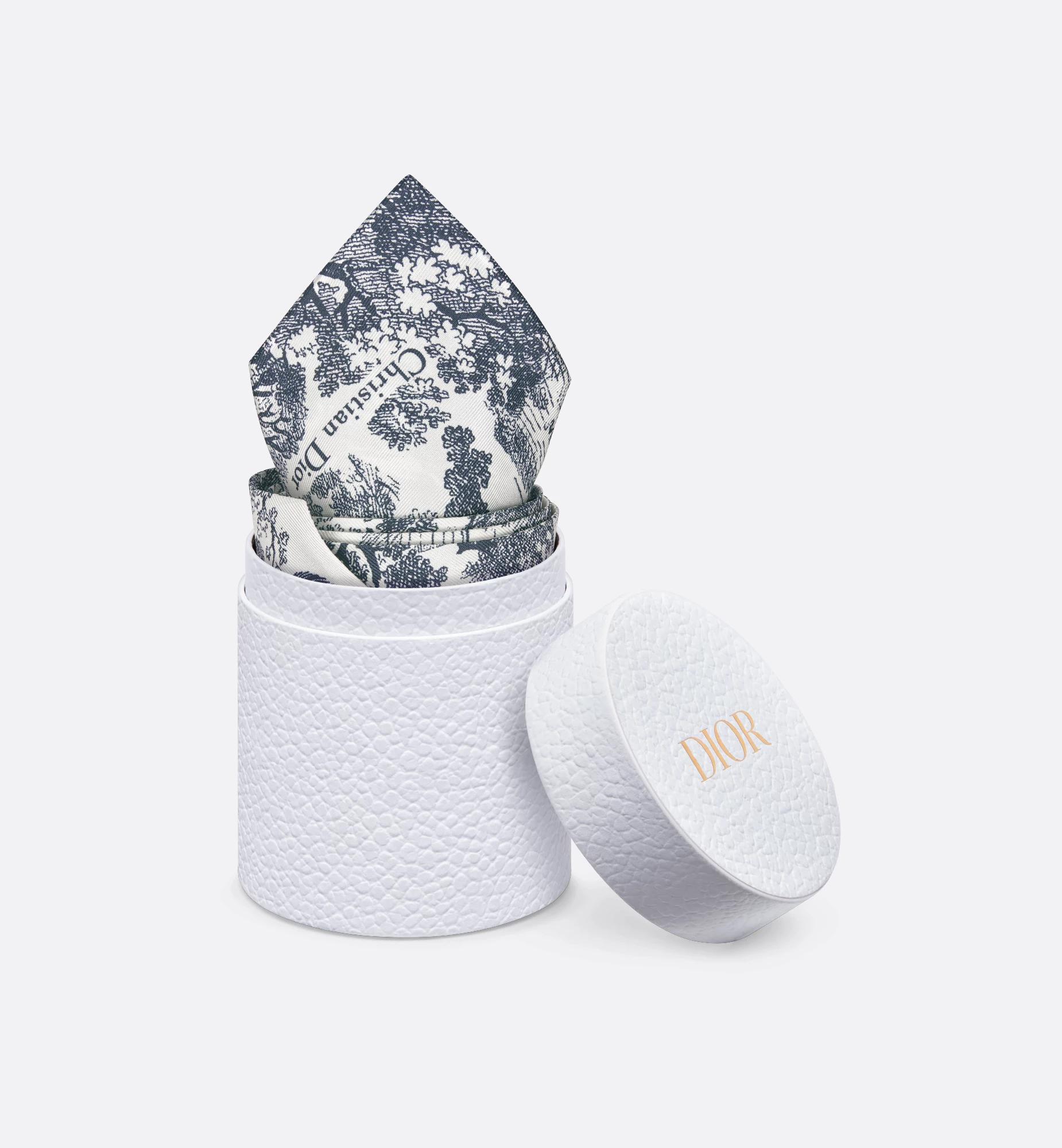 Dioriviera Maxi Toile de Jouy Sauvage Mitzah Scarf Product Image