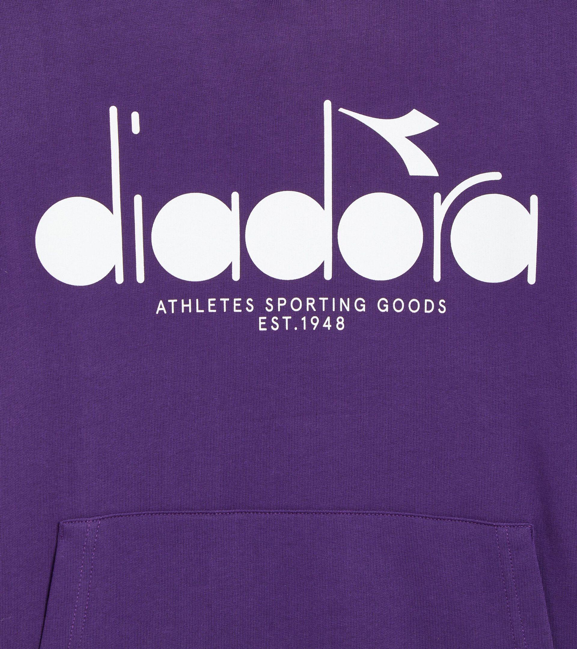 HOODIE LOGO Product Image