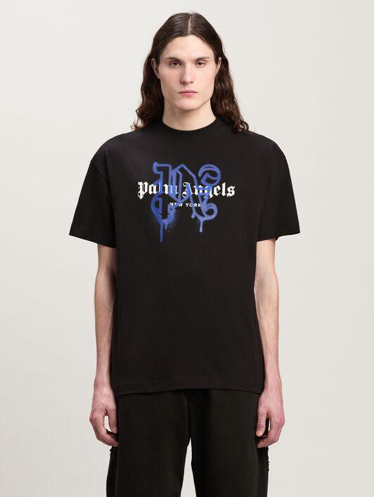 Lightweight Jersey Raglan Standard T-Shirt Male Product Image