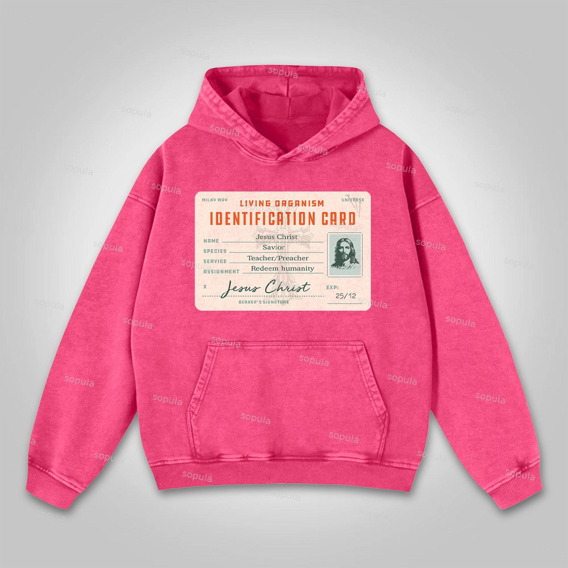 Sopula Jesus Passport Graphic Washed Hoodie Product Image