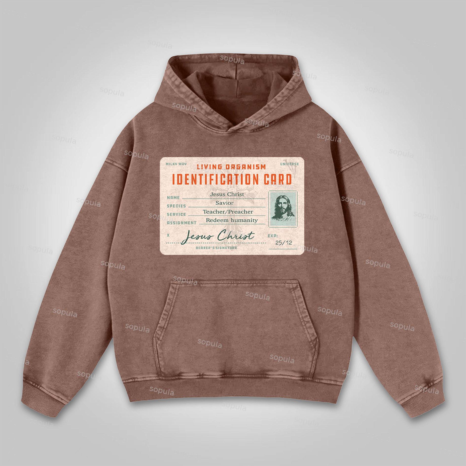 Sopula Jesus Passport Graphic Washed Hoodie Product Image
