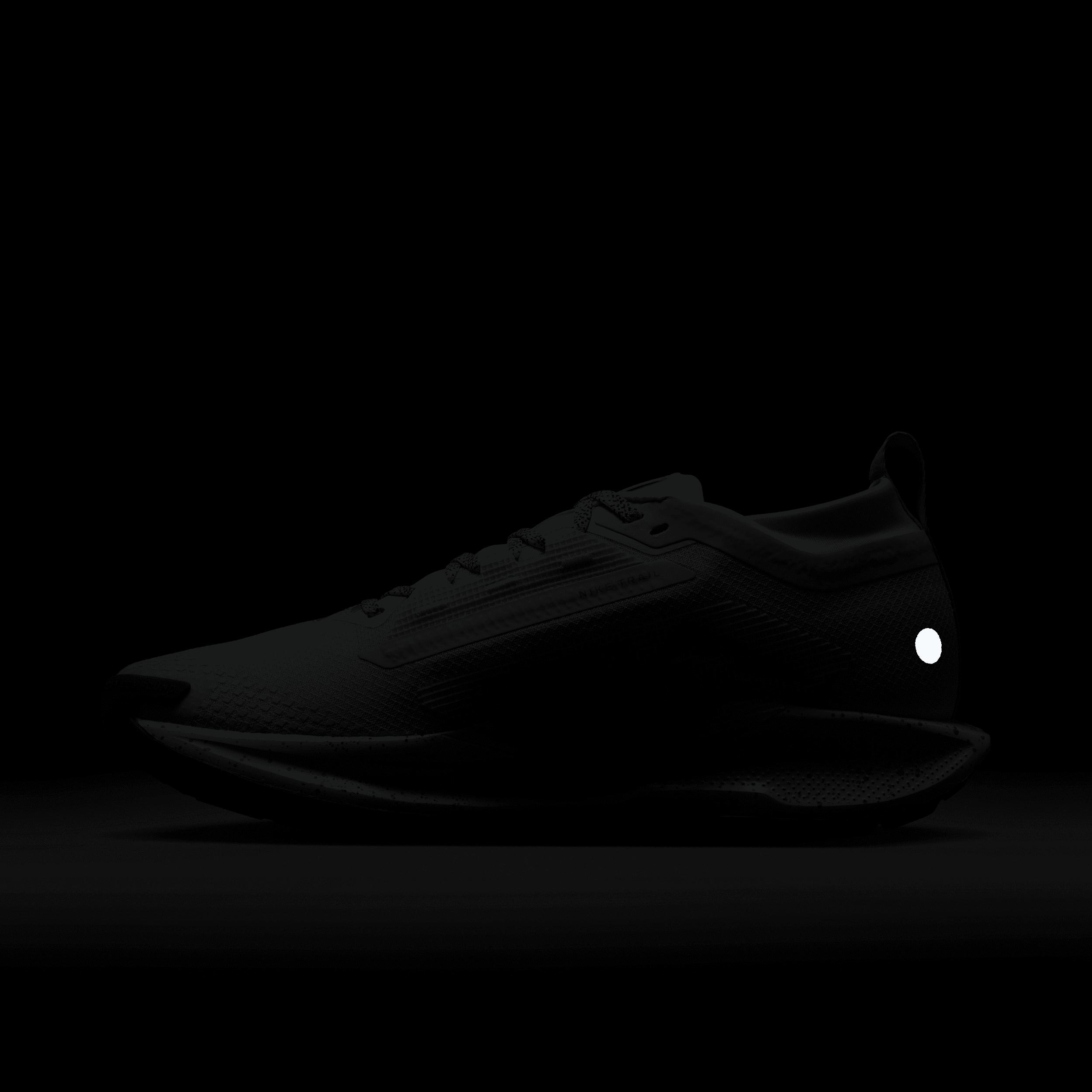 Nike Womens Pegasus Trail 5 GORE-TEX Waterproof Trail Running Shoes | FQ0912-007 Product Image