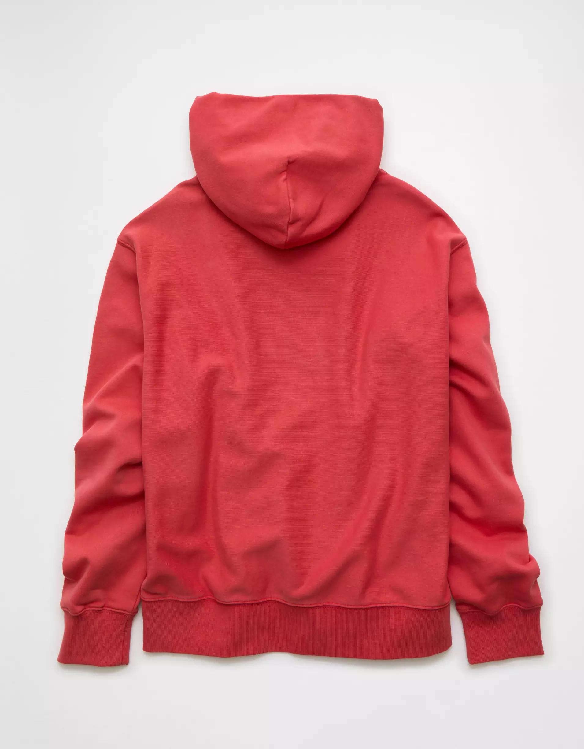 AE Laidback Luxe Heavyweight Hoodie Product Image