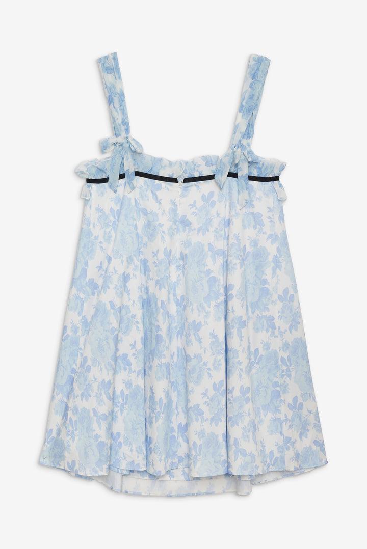 Oliver Mini Dress — Blue Product Image