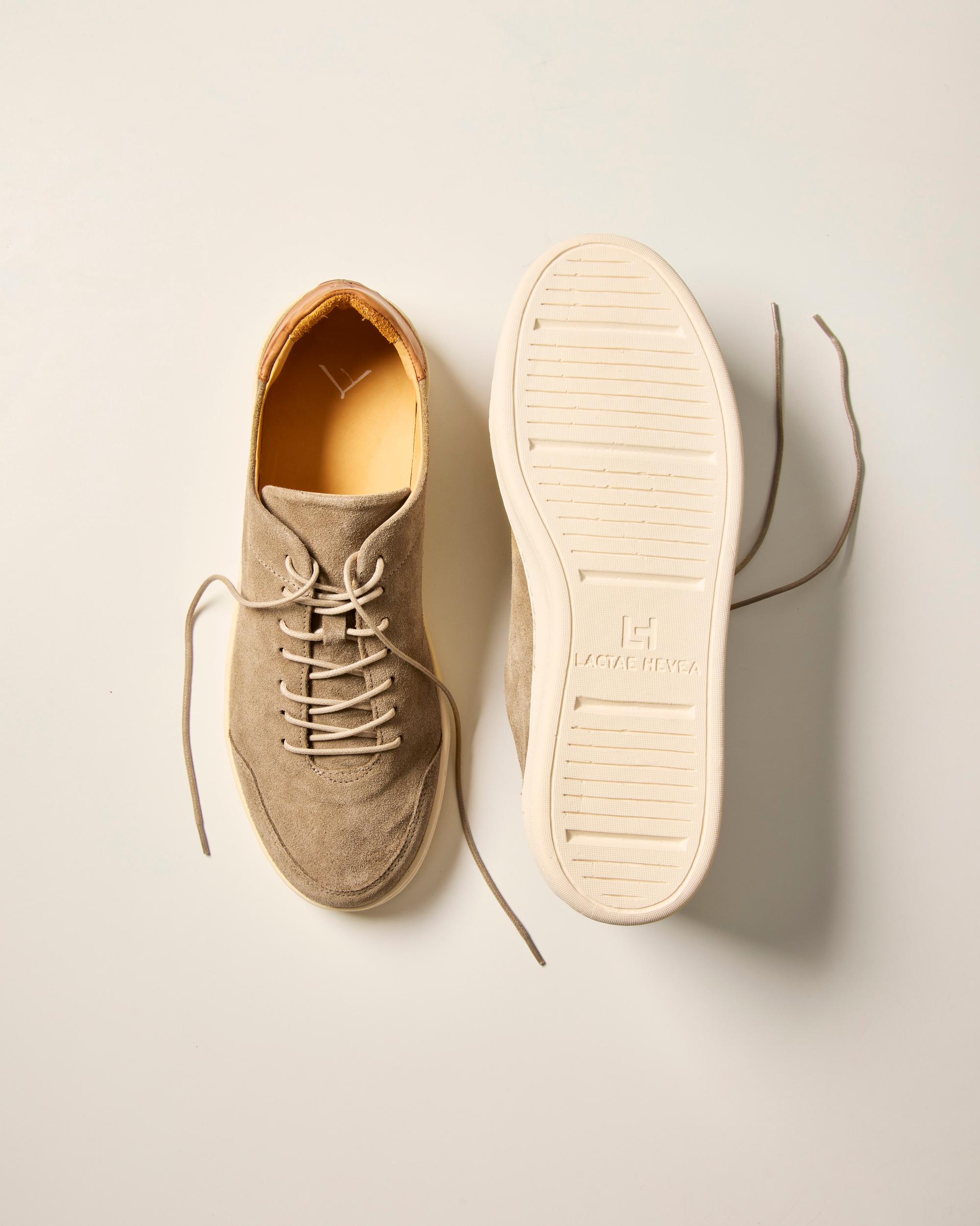 Suede Terra Low Sneaker Product Image