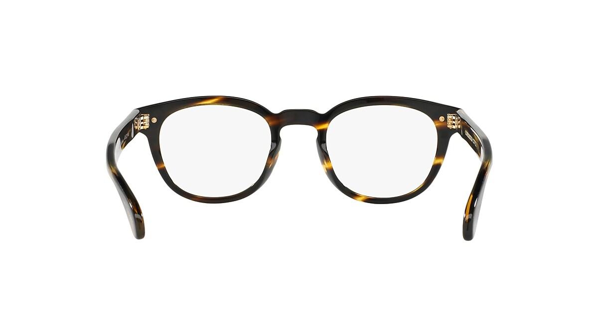 Sheldrake 0OV5036__1003L Product Image