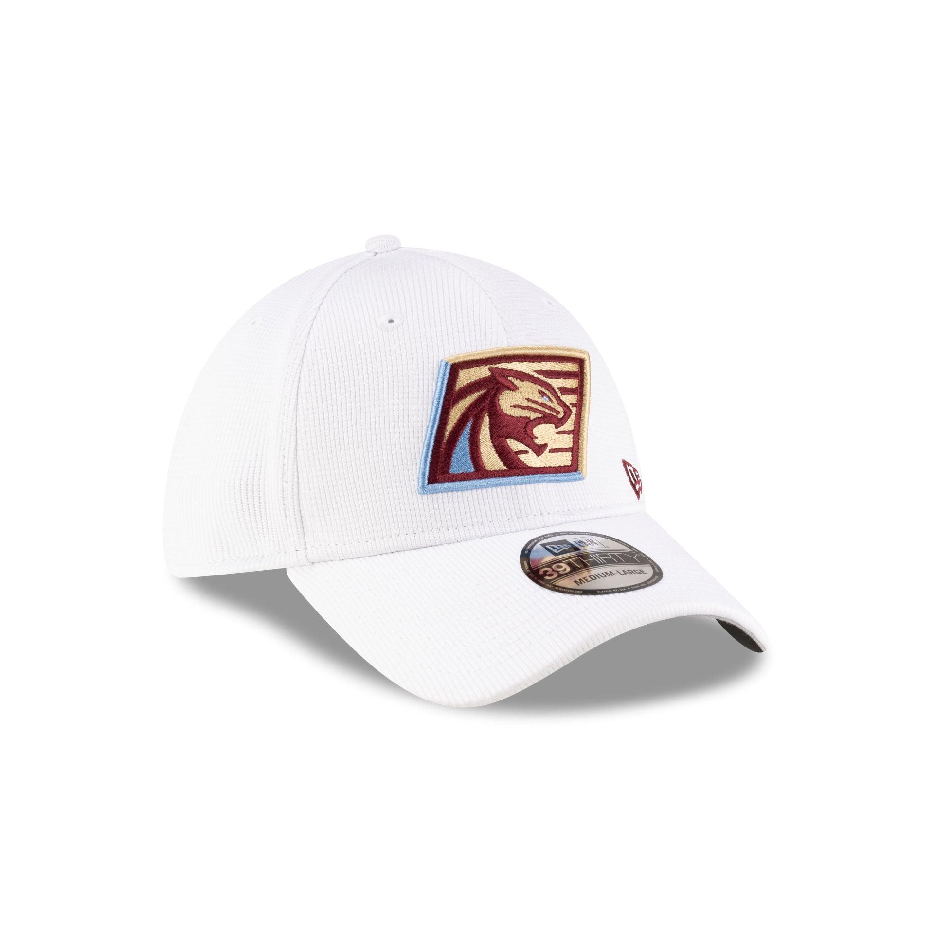Michigan Panthers White 39THIRTY Stretch Fit Hat Male Product Image