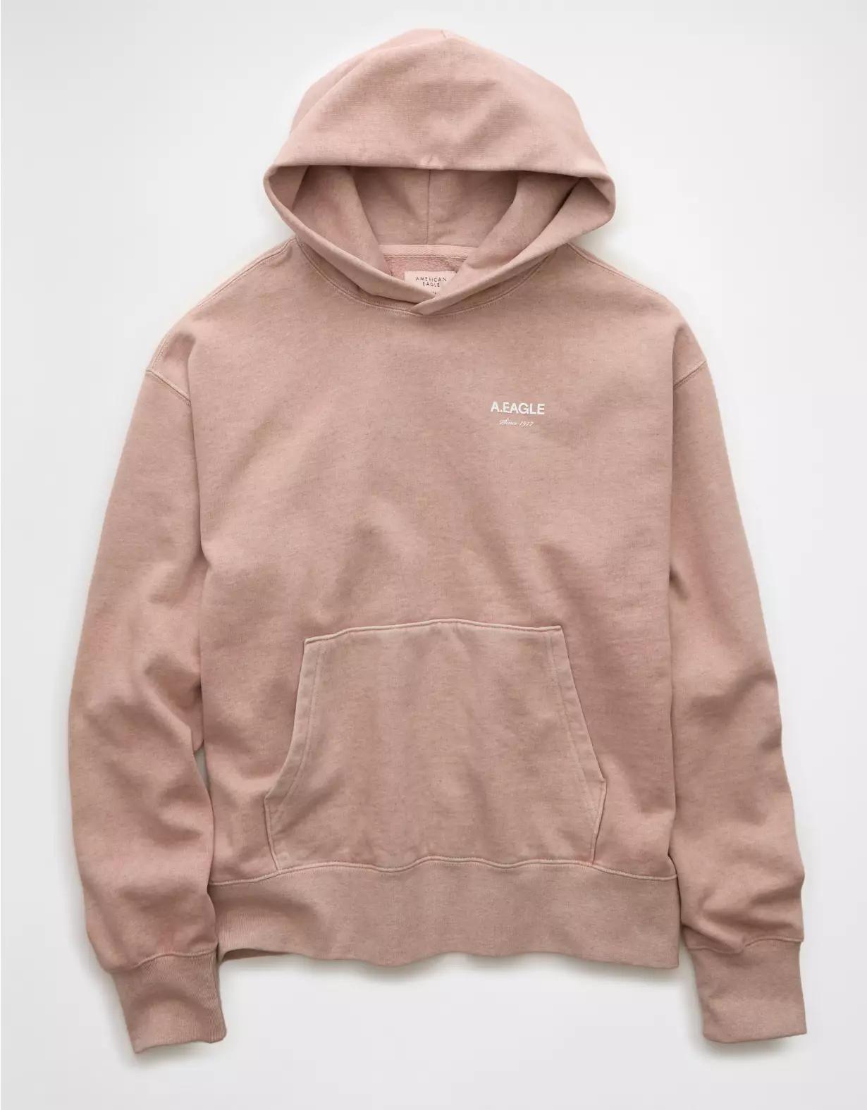 AE Laidback Luxe Heavyweight Logo Hoodie Product Image