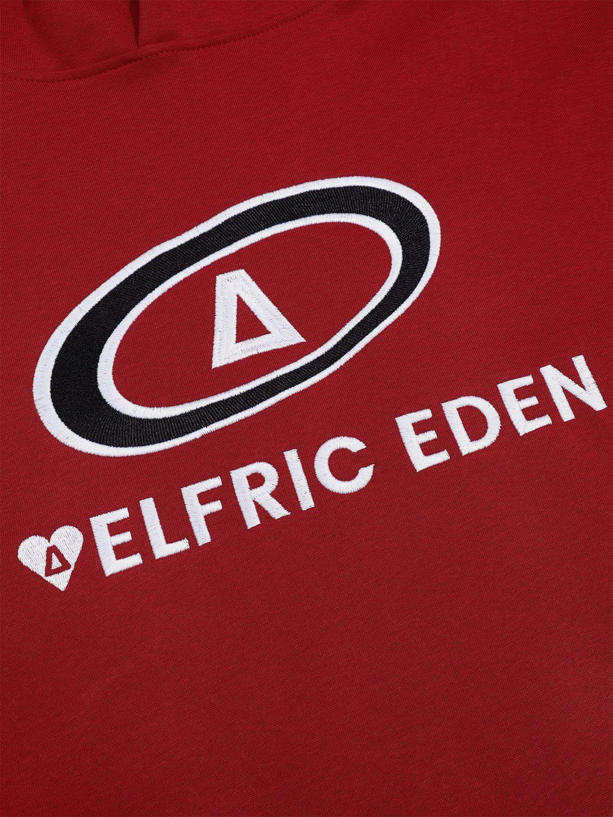 Aelfric Eden Color Blocking Embroidery Pullover Hoodie Product Image