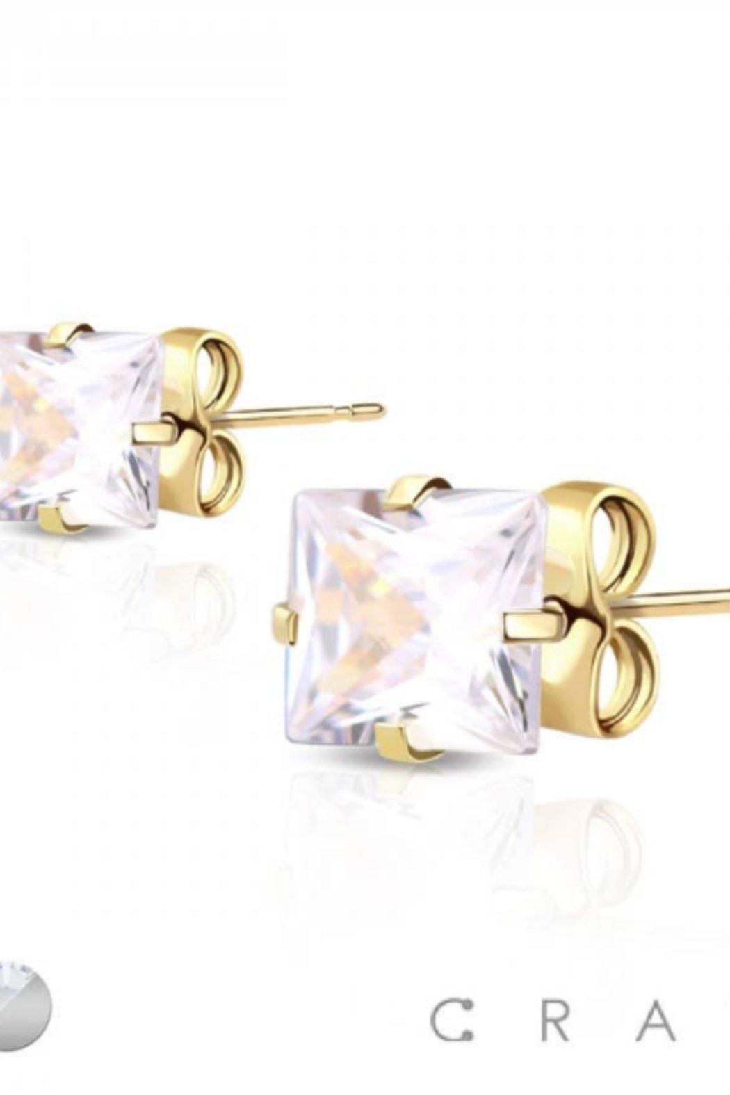 CZ Surgical Steel Stud Earrings Product Image