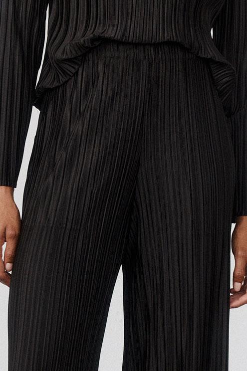 Relaxed Pleated Pants Product Image