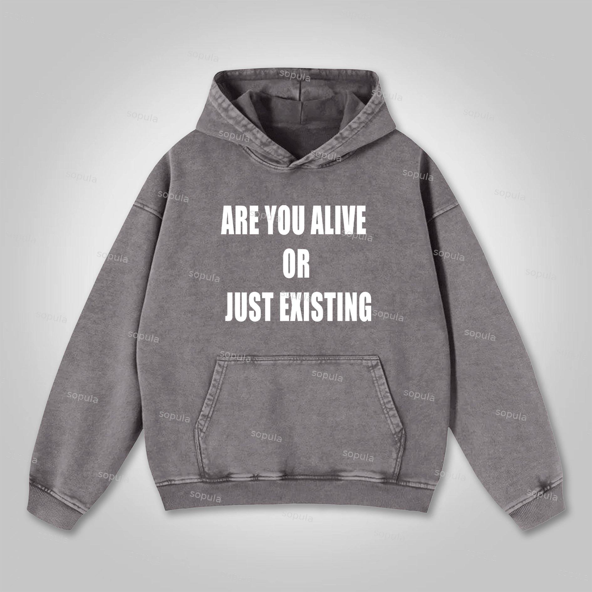 Sopula Are You Alive Or Just Existing Graphic Washed Hoodie Product Image