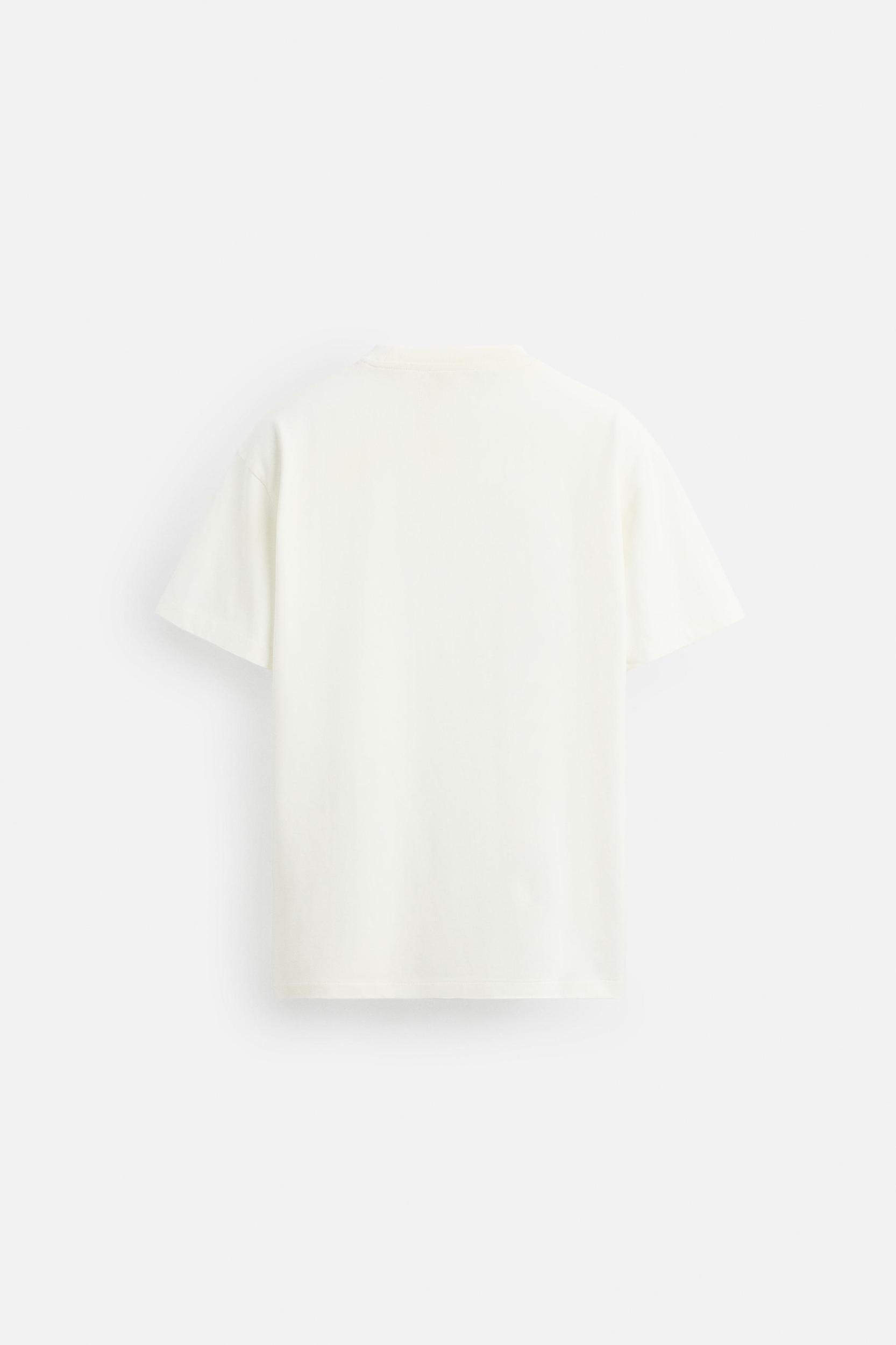WASHED PRINTED T-SHIRT Product Image