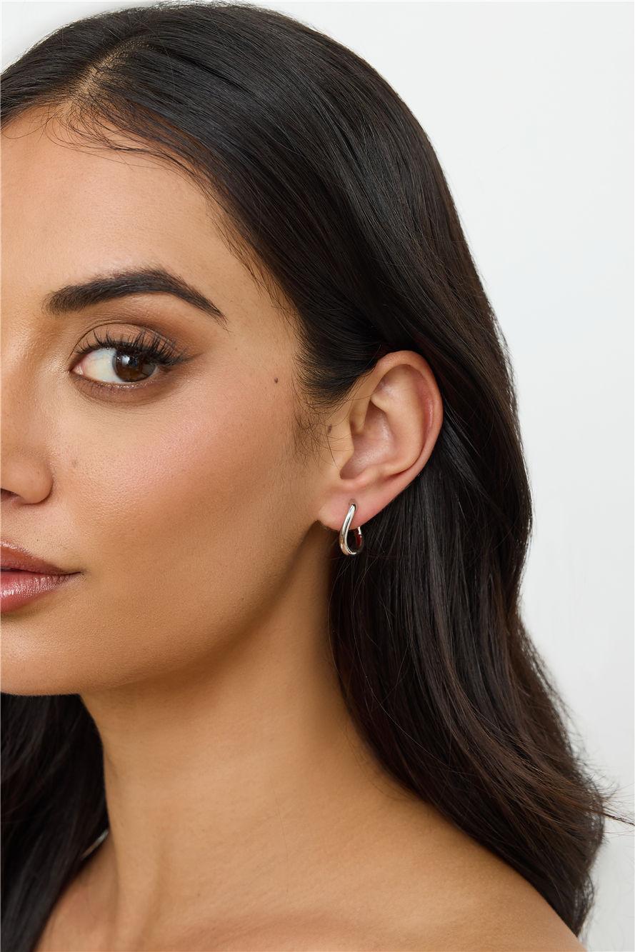 Chicest Earrings Silver Product Image