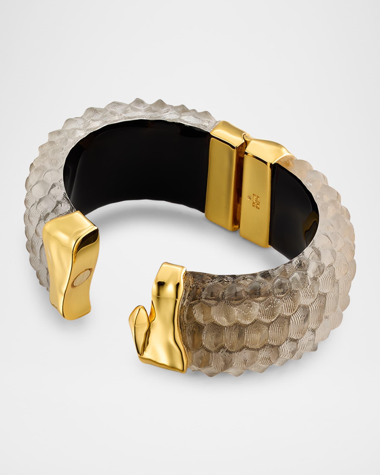 Serpent Lucite Wide Hinge Bracelet Product Image
