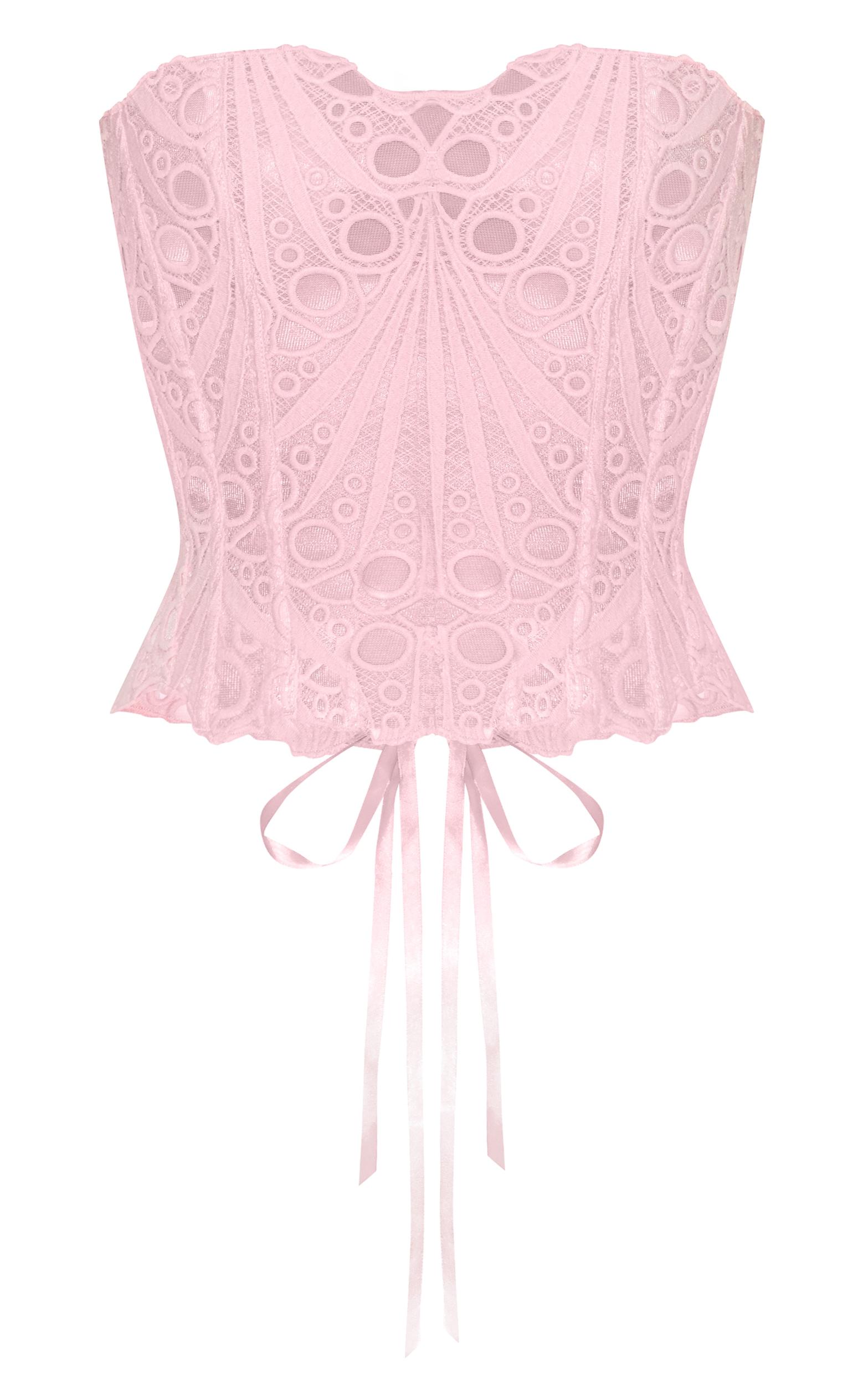 Pale Rose Textured Sheer Floral Lace Corset Product Image