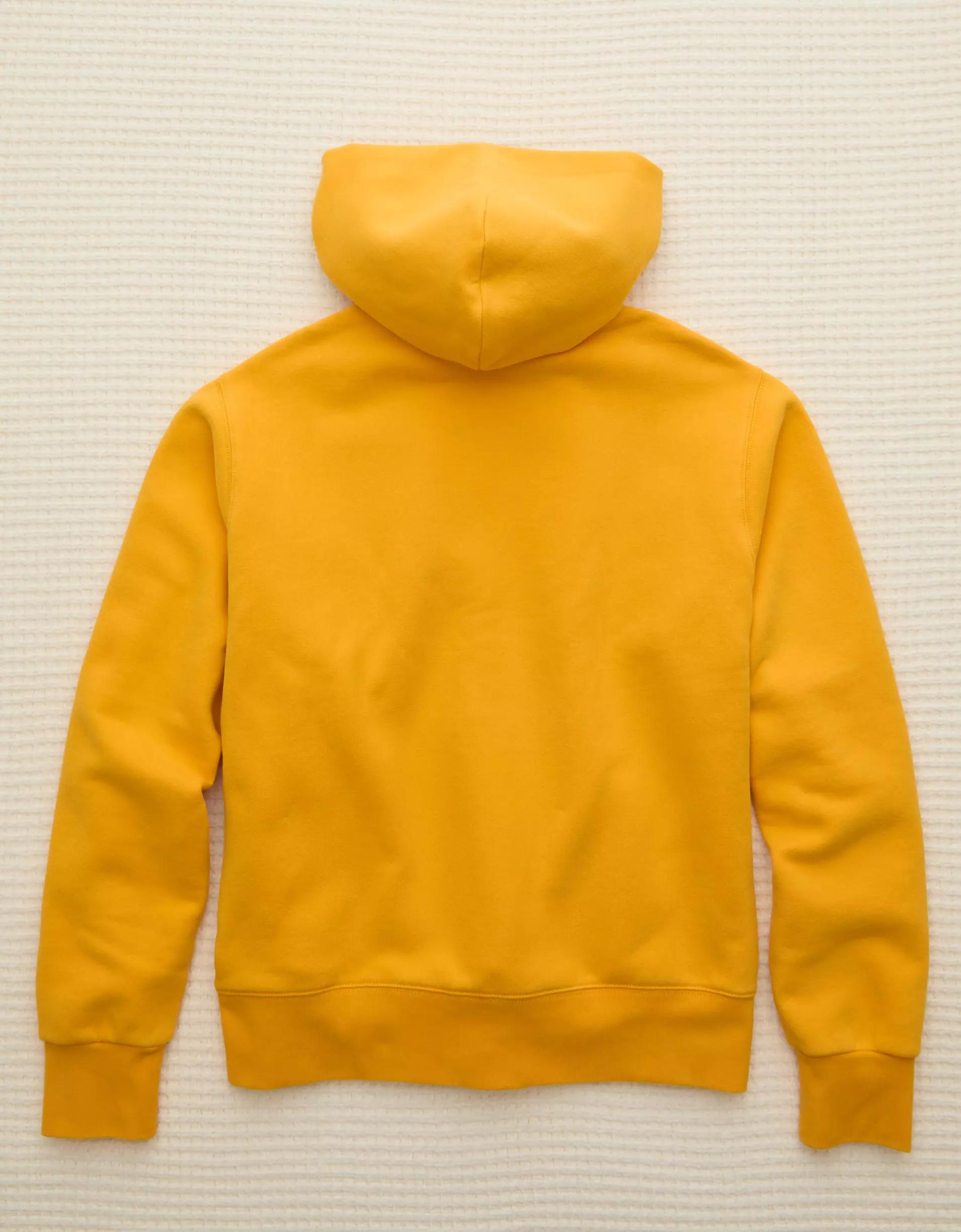 AE x Russell Athletic Hoodie Product Image