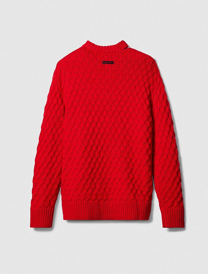 Merino Wool Cable Knit Relaxed Crewneck Sweater Product Image