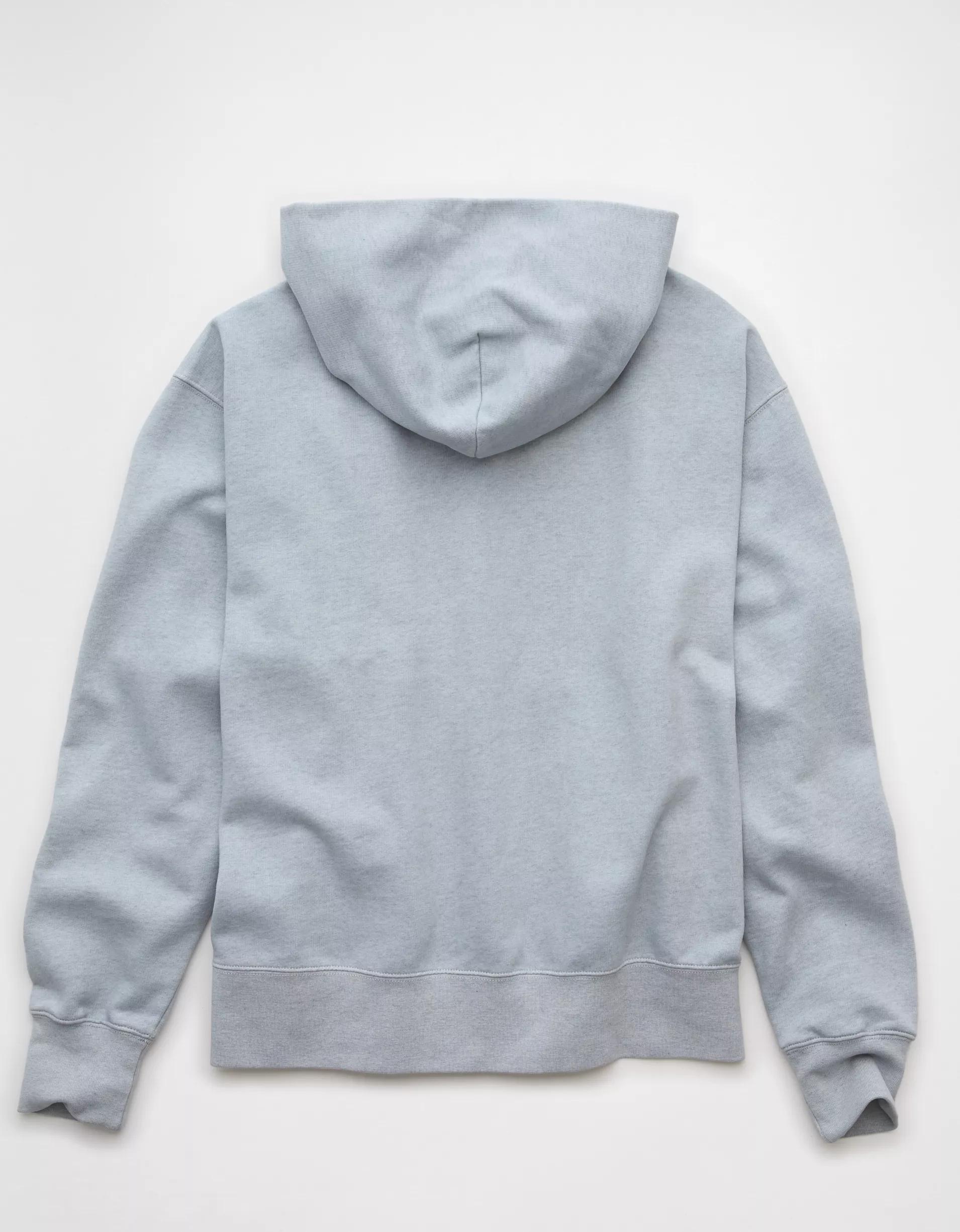 AE Laidback Luxe Heavyweight Logo Hoodie Product Image