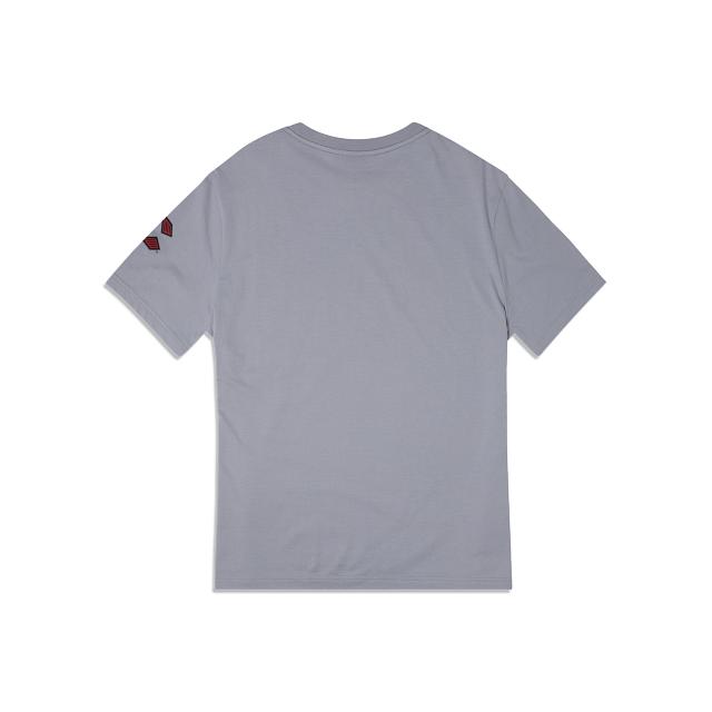 Cincinnati Reds City Connect Gray T-Shirt Male Product Image