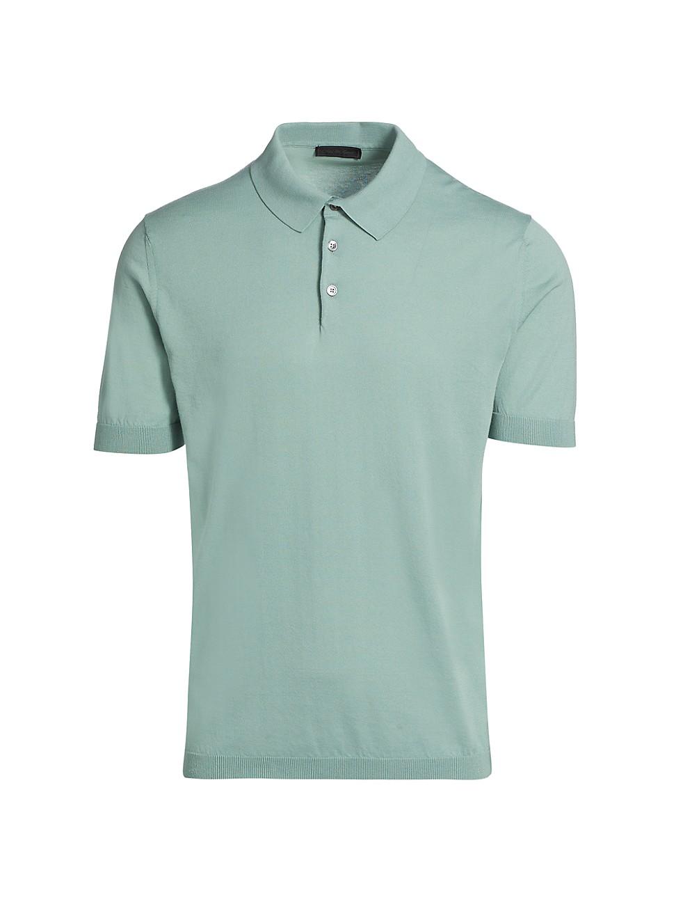 Mens COLLECTION Cotton Polo Shirt Product Image