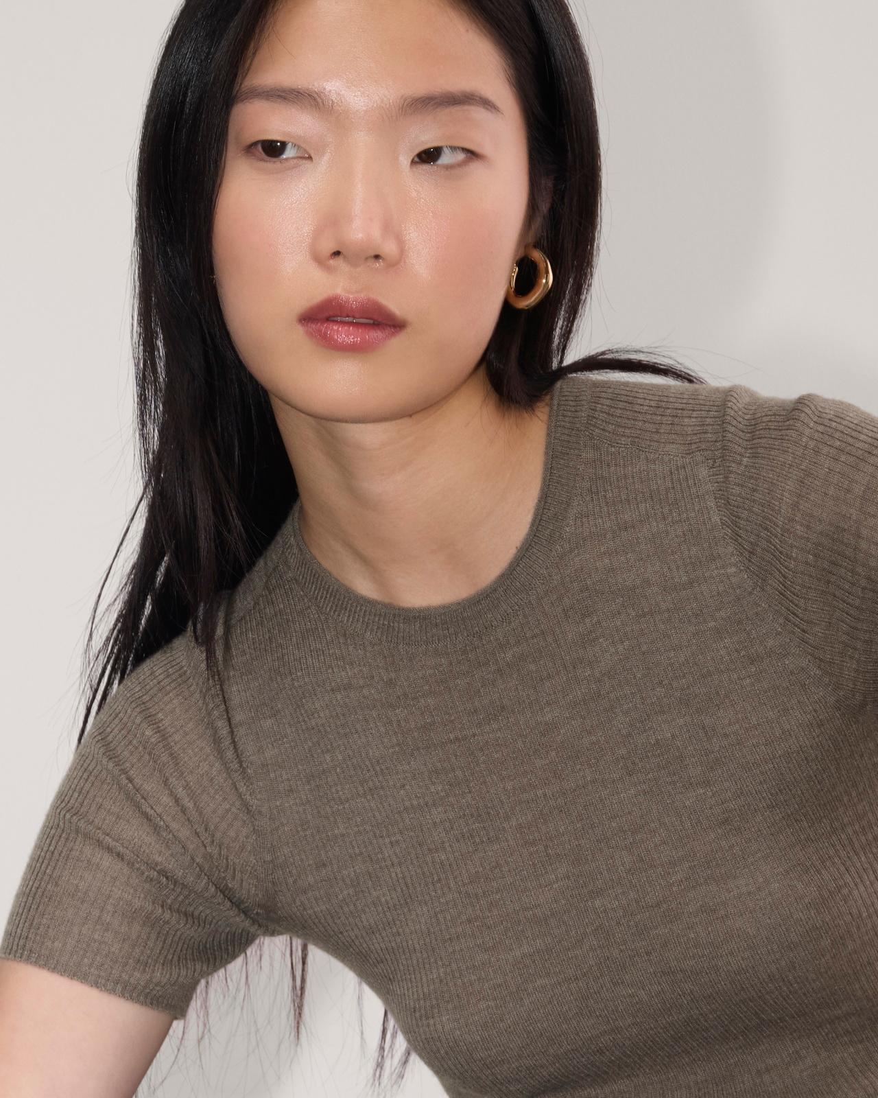 Womens Sweater T-Shirt in Ultrasoft Merino by Everlane Product Image