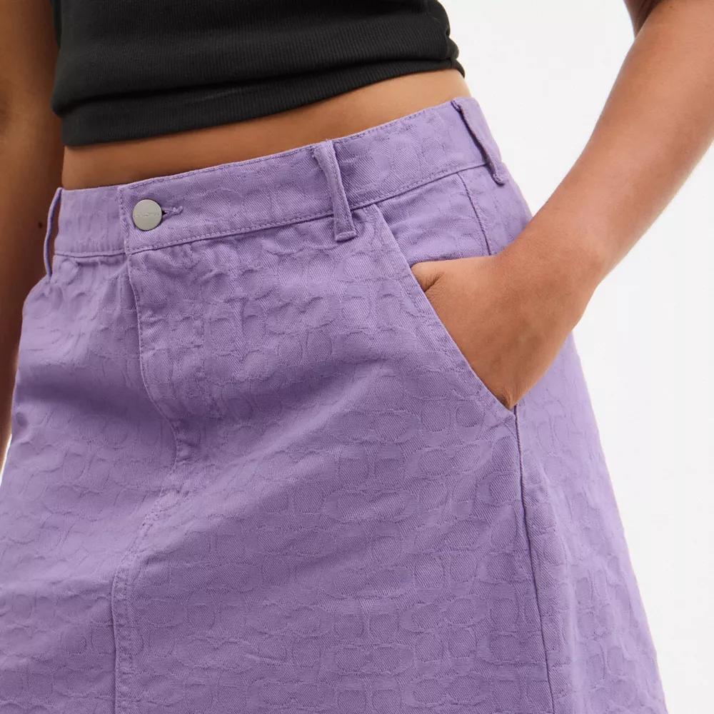 Signature Denim Skirt Product Image