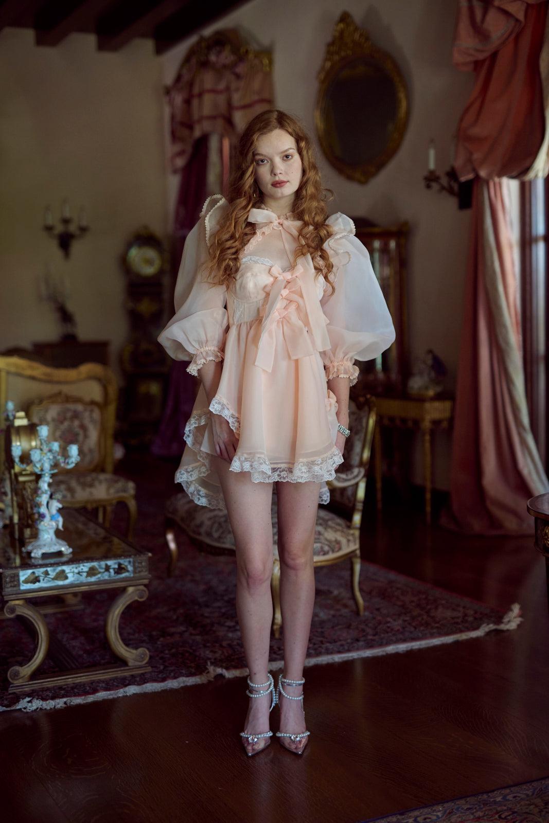 The Pumpkin Froth Cake Shop Dress Product Image