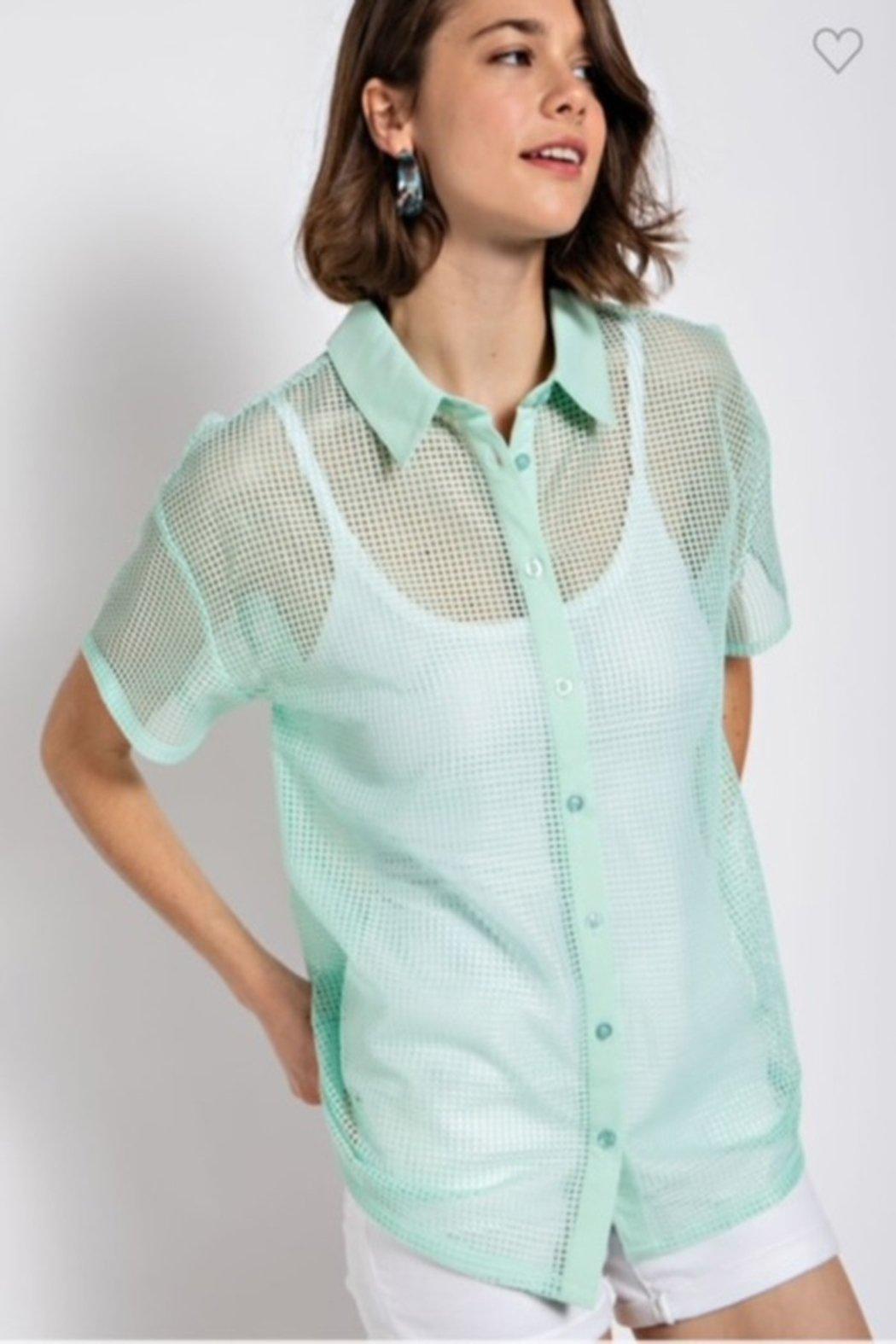 Mint Mesh Top Product Image