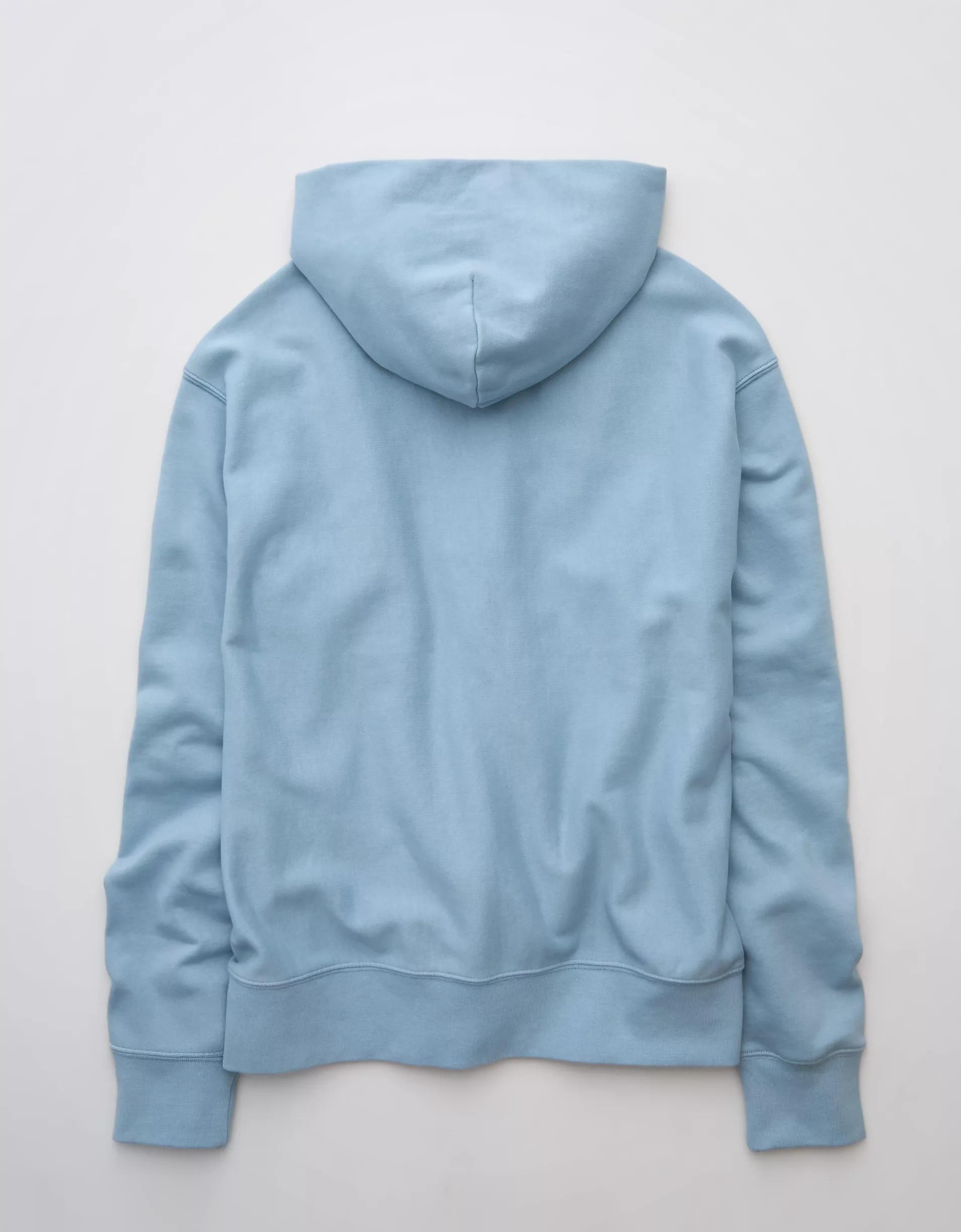 AE Laidback Luxe Heavyweight Hoodie Product Image