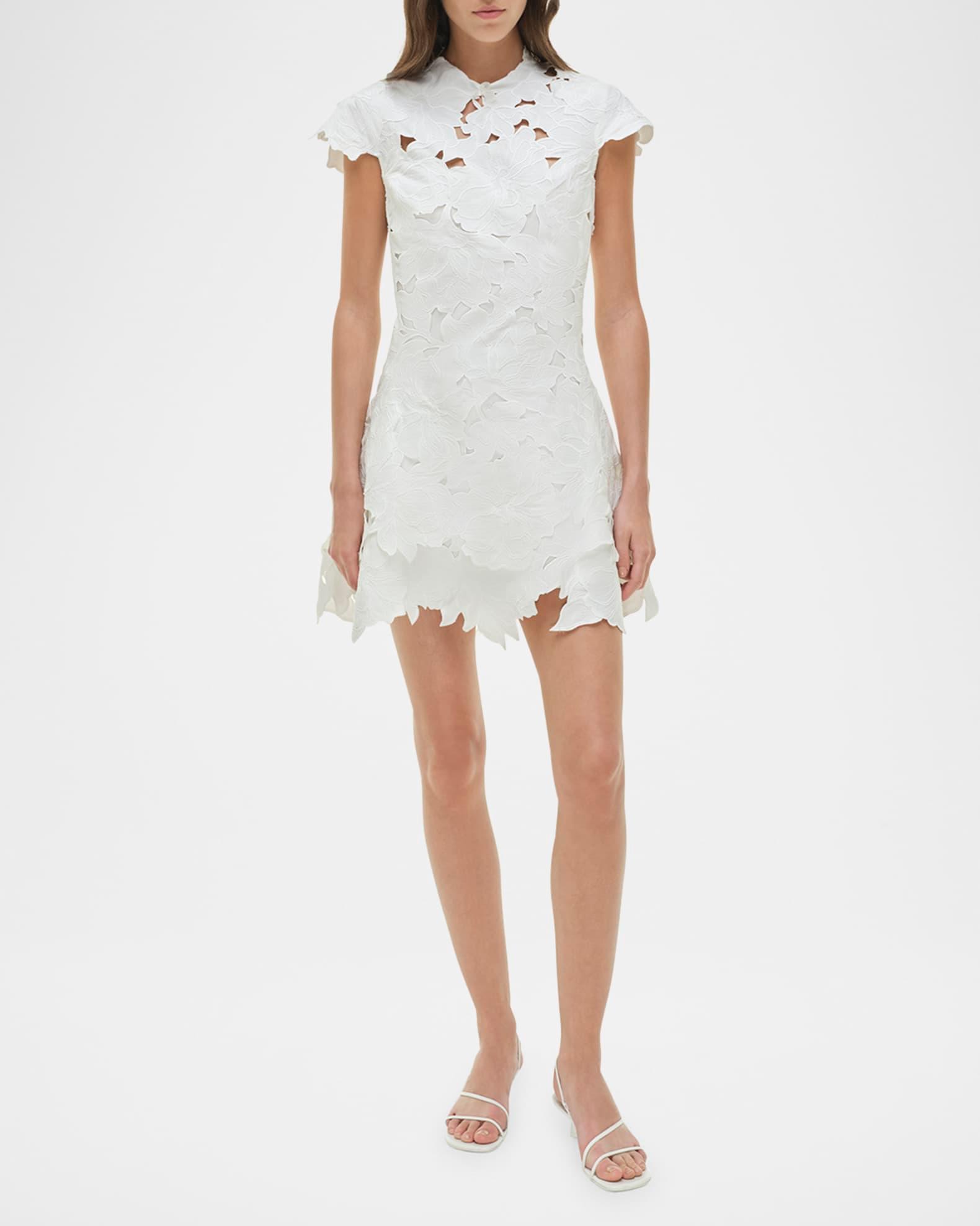 Holloway Embroidered Mini Dress Product Image